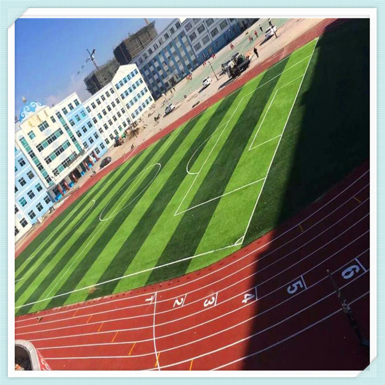 廊坊 学校操场人工草皮 操场人造草 足球场人工草皮图2