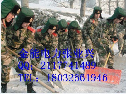 （650*270）人工推雪板生产//人工推雪板（报价 批发）图3