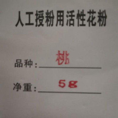 供应桃花粉 人工授粉 人工授粉用活性花粉 当年新桃花粉 桃果树授粉药  桃人工授粉用活性花药