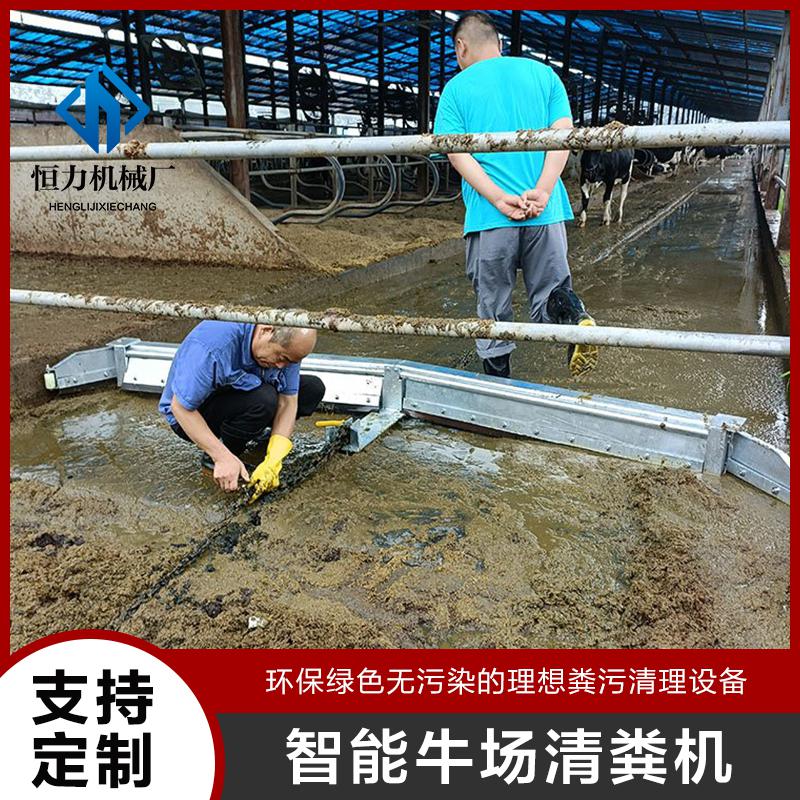 恒力机械供应智能牛场清粪机 省时省力节省人工 链条牛场刮粪机图2