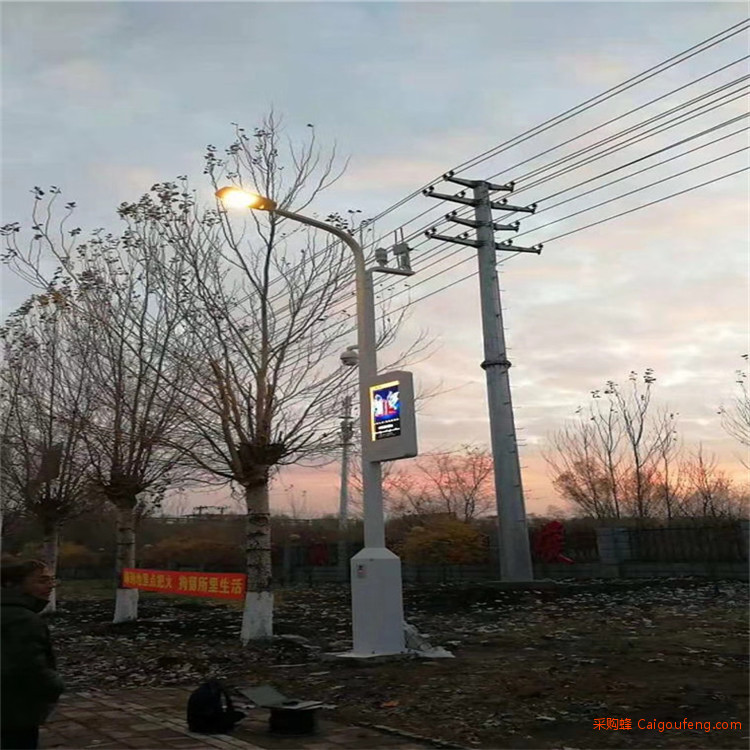 园区路灯 价格优惠 城市多功能智慧路灯杆 英光