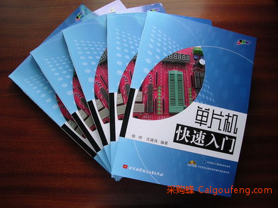 单片机快速入门 单片机快速入门
