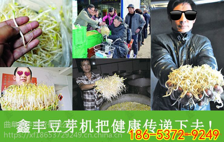 豆芽机绿色环保 豆芽机自动化 智能大型图2