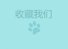 01 (256)