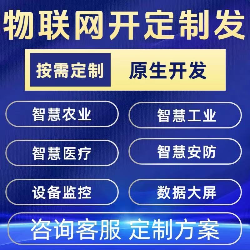 物联网定制小程序定制开发app开发定制软件定制软件开发